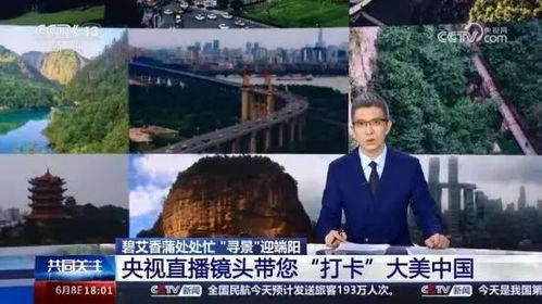 中央13台在线观看,尽享权威新闻与深度报道